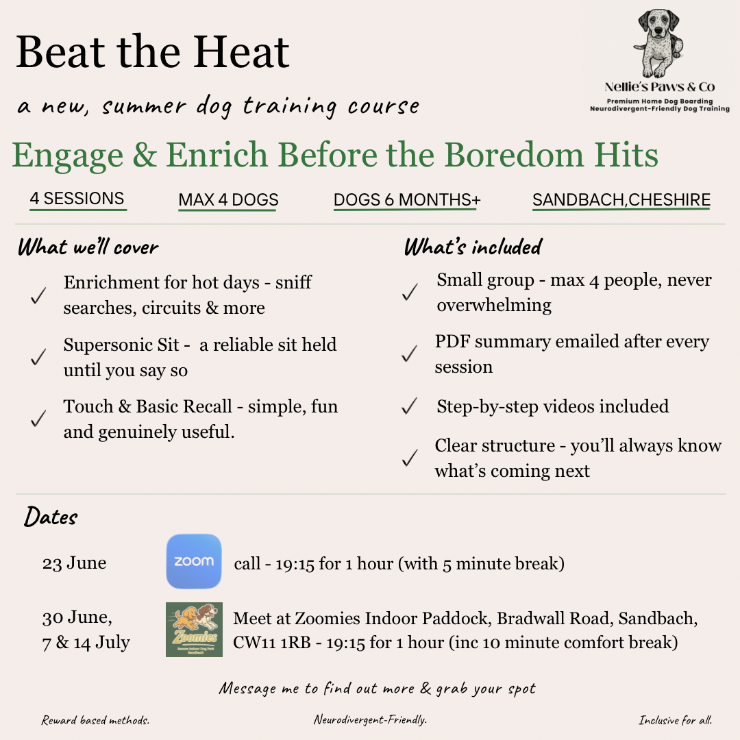 Beat the Heat: Engage & Enrich Before the Boredom Hits
